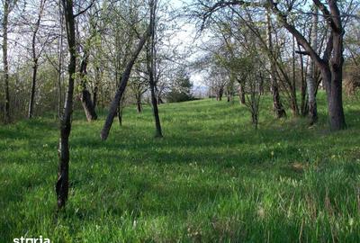 Teren de 14000 mp, în Mihai Viteazu - 3