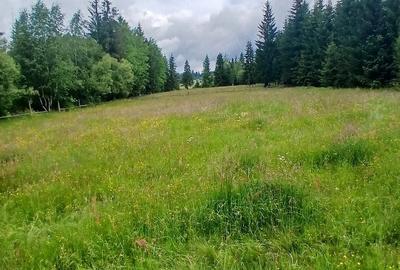 Teren de 6000 mp, în Central