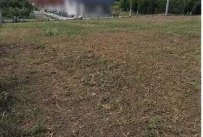 Spațiu comercial, în Vlădiceni