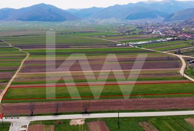 Teren Construcții intravilan de 2491 mp, în Orlat - 11