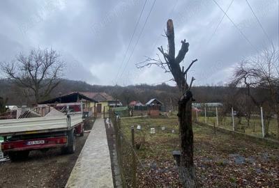 Casă cu 2 camere în Pestișu Mic - 5