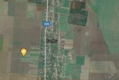 Teren de 5000 mp, în Central - 2