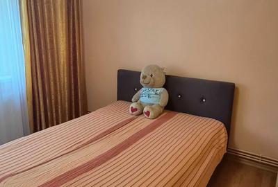 Apartament cu 2 camere semidecomandat în Bucovina - 5