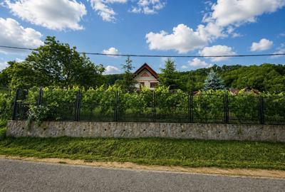 Casă cu 4 camere în Enculești - 1