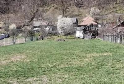 Teren de 1250 mp, în Vlădesti