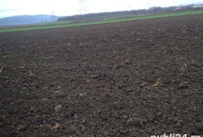 Teren de 4300 mp, în Movila Miresii - 2