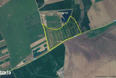Teren de 480000 mp, în Vladimirescu