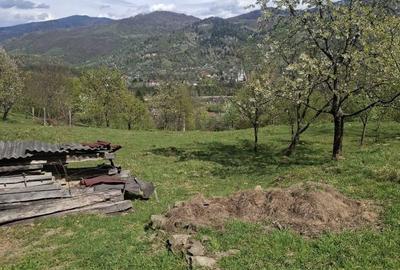 Spațiu comercial, în Valea Vișeului - 7