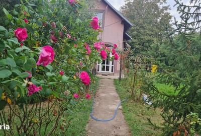 Casă cu 4 camere cu Teren 2600 Mp în Central