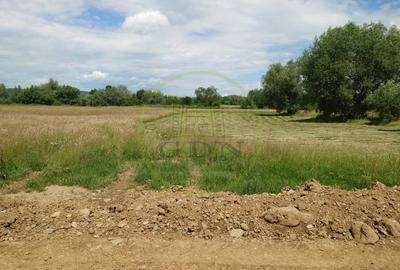 Teren agricol extravilan de 1800 mp, în Avrig - 8