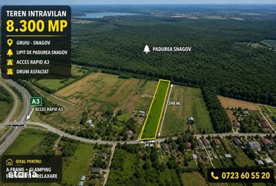 Teren de 8300 mp, în Gruiu - 6