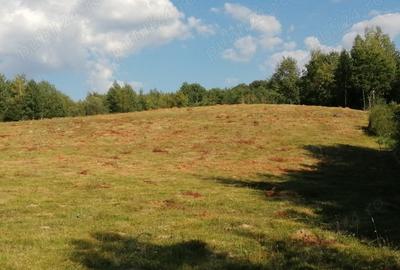 Teren de 20000 mp, în Ciucea - 1