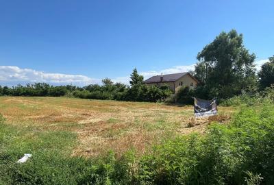 Teren Construcții intravilan de 7500 mp, în Ogrezeni - 2