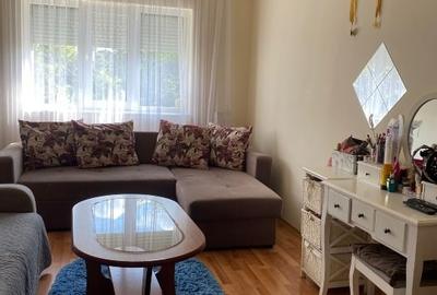 Apartament cu 3 camere decomandat, mobilat în Lipovei - 4