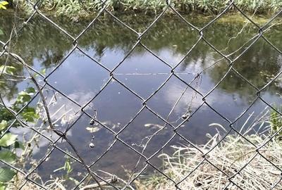 Casă cu 4 camere cu Teren 1507 Mp în Dudeștii Vechi - 6