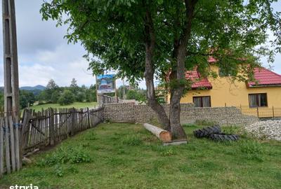 Teren de 10669 mp, în Moieciu