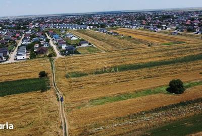 Teren de 300 mp, în Berceni