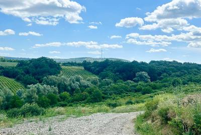 Teren intravilan de 670 mp, în Vișani - 8