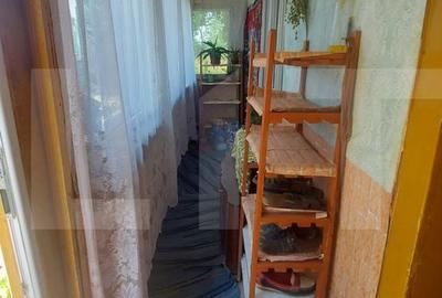 Casă cu 2 camere cu Teren 4000 Mp în Barcani - 10