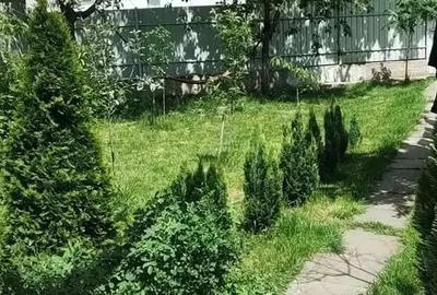 Casă cu Teren 720 Mp în Central - 4