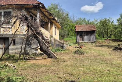 Teren de 3450 mp, în Boțești - 2