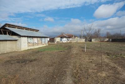 Teren Construcții intravilan de 7800 mp, în Vulturu - 3