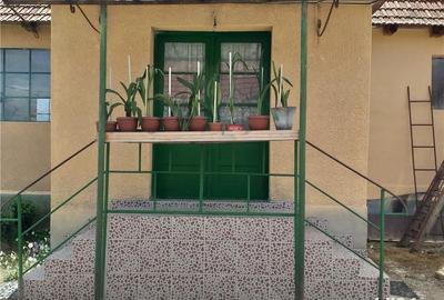 Casă cu 3 camere cu Teren 10000 Mp în Gherteniș - 9