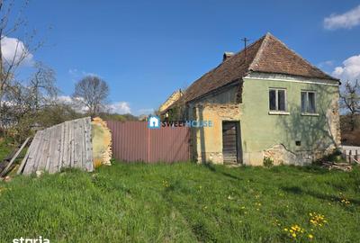 Teren de 3890 mp, în Șoarș - 3