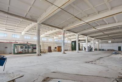 Teren Construcții intravilan de 44425 mp, în Est - 7