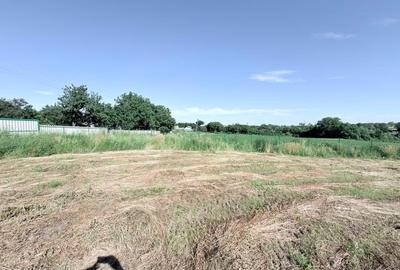 Casă individuală cu 2 camere cu Teren 3600 Mp în Central - 2
