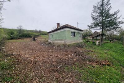 Casă cu 2 camere în Goiești - 3