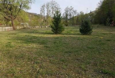 Teren de 9000 mp, în Pângărați