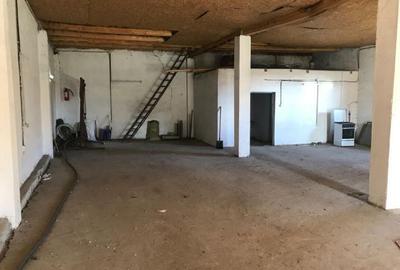 Spațiu comercial, de 233 mp, în Drăgoești - 8