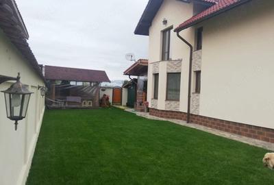 Casă cu Teren 300 Mp în Curtișoara - 1