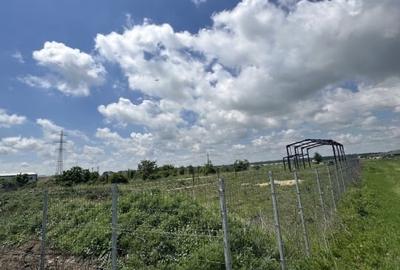 Teren Construcții intravilan de 2000 mp, în Săbăreni - 6