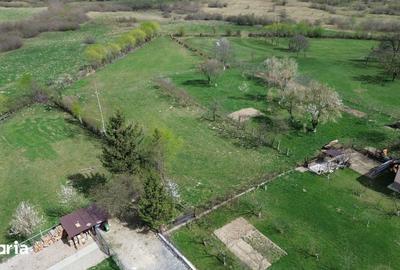 Teren de 4000 mp, în Central - 16