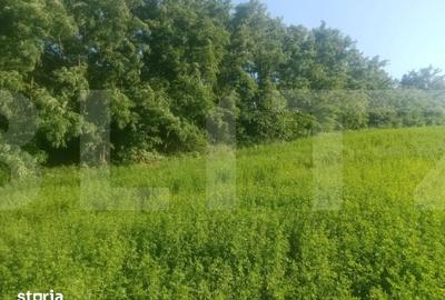 Teren de 3700 mp, în Brăești