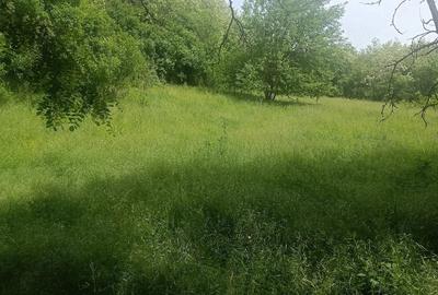 Teren de 5400 mp, în Brătila - 3