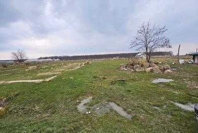 Teren de 2700 mp, în Central - 3