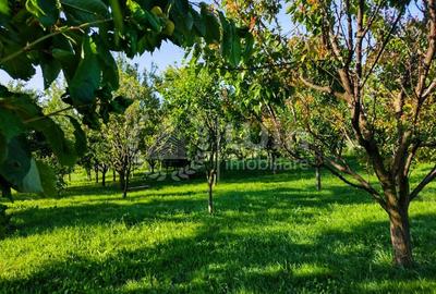 Casă individuală cu 2 camere cu Teren 2382 Mp în Aiton - 8