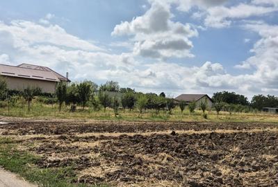 Teren Construcții intravilan de 2300 mp, în Sud-Vest - 7