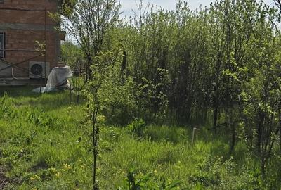 Teren de 5000 mp, în Vernești - 4