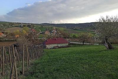 Casă cu Teren 4000 Mp în Arduzel - 3