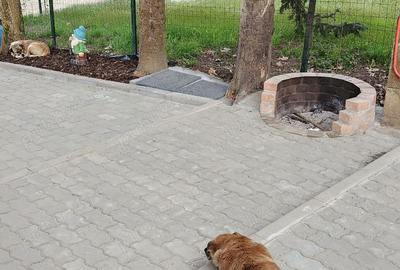 Teren în Fârdea - 2