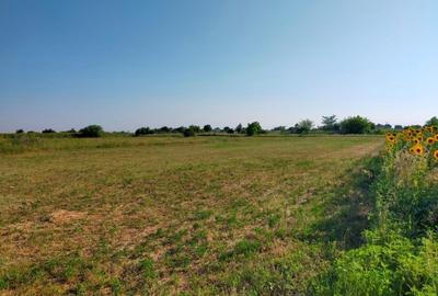 Teren Construcții intravilan de 2502 mp, în Moara Vlăsiei - 3