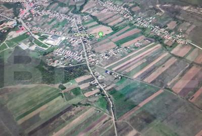 Teren de 11000 mp, în Răscruci - 2