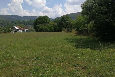 Teren în Stejaru (Pângărați) - 2