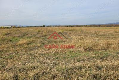 Casă cu Teren 10000 Mp în Băicoi - 2