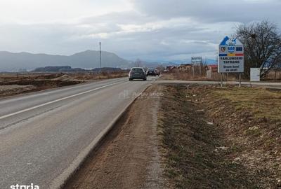 Teren de 9000 mp, în Est - 3
