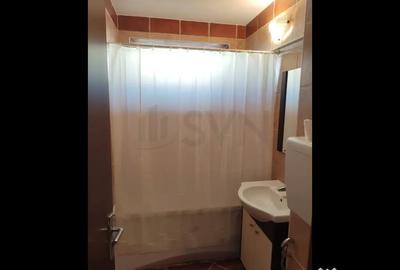 Apartament cu 3 camere semidecomandat în Timișoara